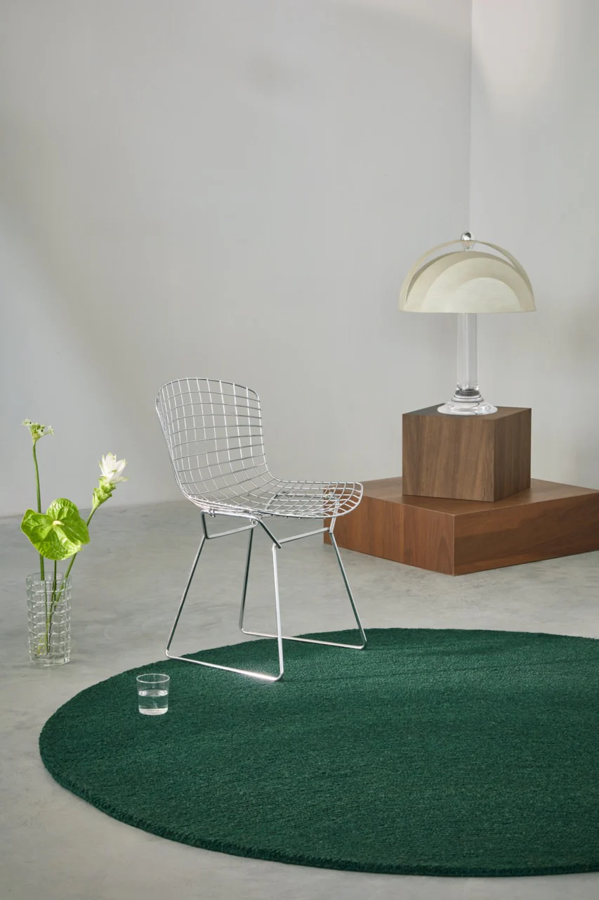 Miniatuur 3