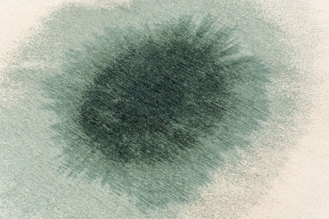 Miniatuur 9
