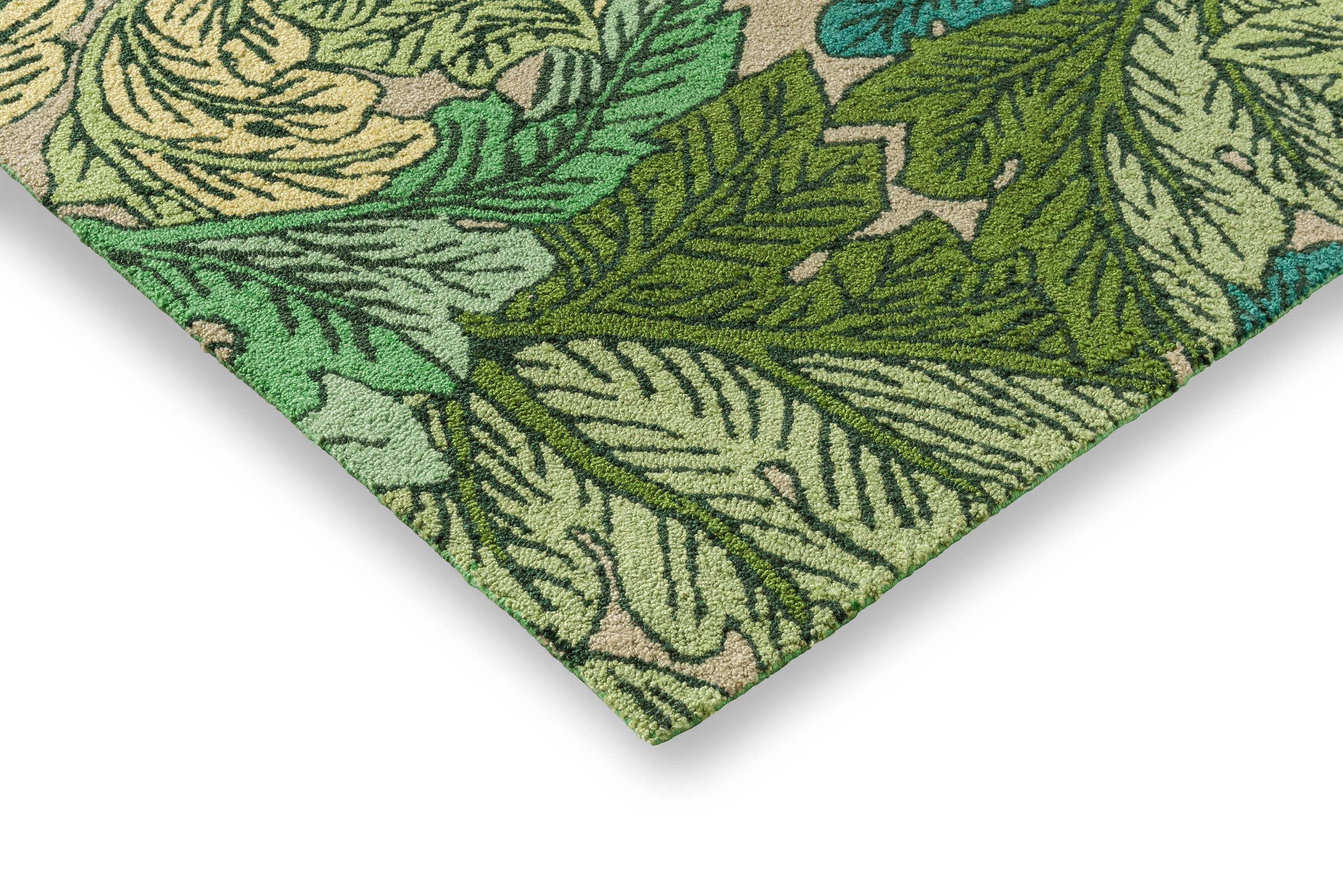 Miniatuur 3
