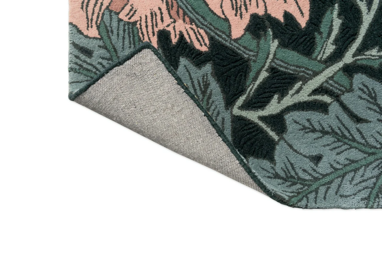 Miniatuur 5